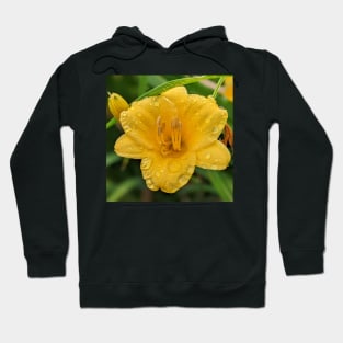 Wet Yellow Lily Hoodie